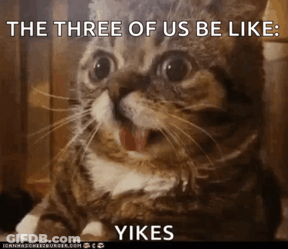 Shocked Tongue Out Surprised Cat GIF