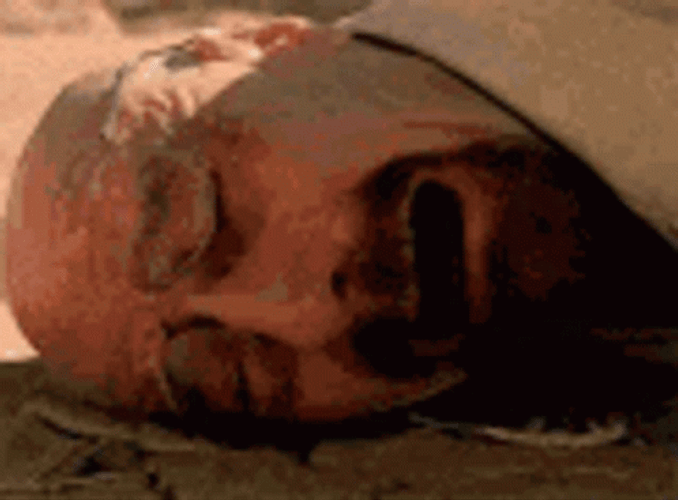 Shocked Walter White Falling On Sand GIF