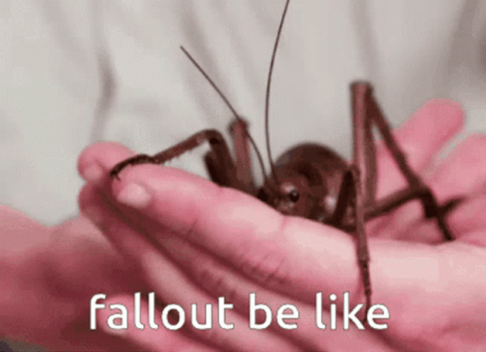 Shocking Big Bug Crickets GIF