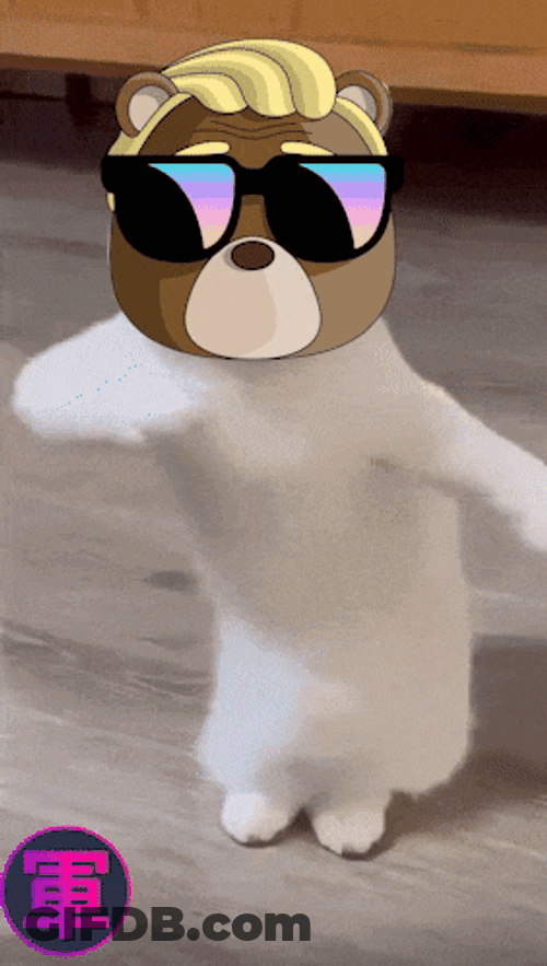 Shogun Bearfort GIF