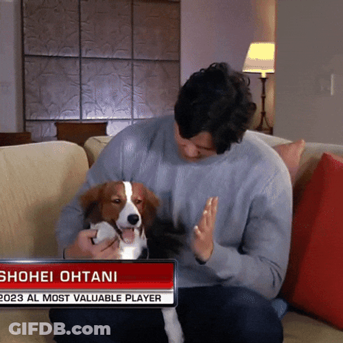 Shohei Ohtani High Five With Decoy GIF