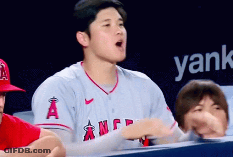Shohei Ohtani Slamming Baricade GIF