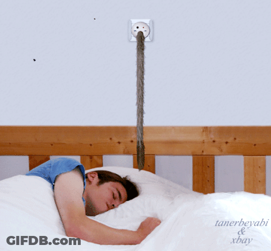Shooing Insect Tail GIF