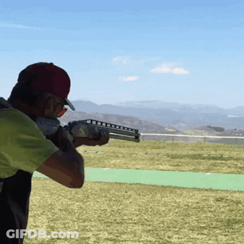 Shooter Bird Target GIF