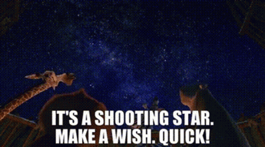 Shooting Star Marty Madagascar GIF