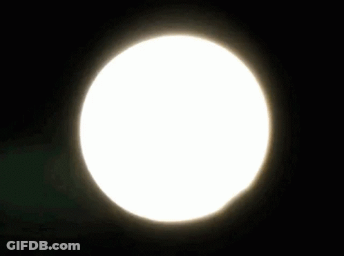 Shooting Star Saying My Shooting Star GIF