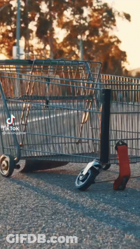 Shopping Cart With TikTok Watermark GIF