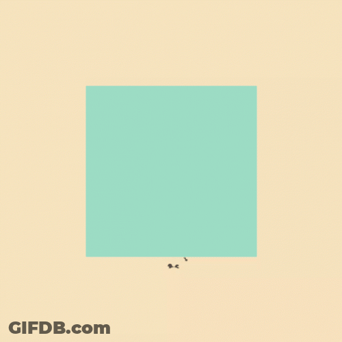 Short Black Smoke Signals GIF