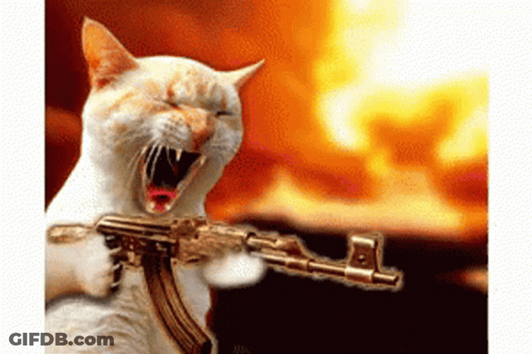 Shot GIF