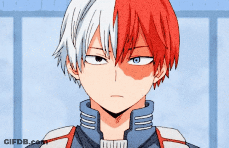 Shoto Todoroki Sly Smile GIF
