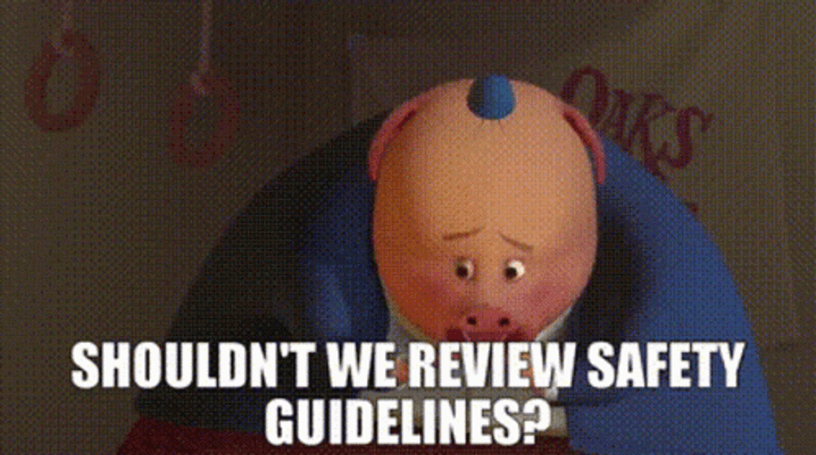 Shouldnt We Review Safety Guidelines GIF