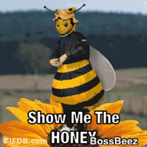 Show Me The Honey Bee GIF