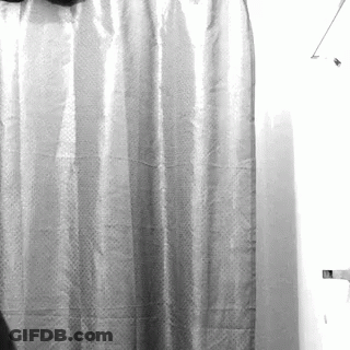 Shower Curtain Hanging On Bathroom Wall GIF