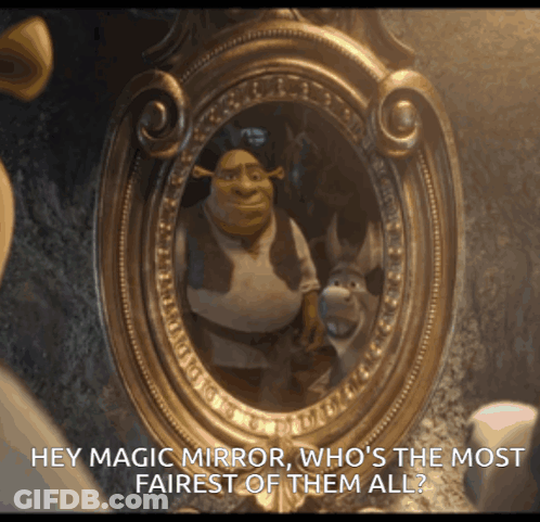 Shrek And Donkey Looking At Their Reflection In A Mirror With The Words Hey Magic Mirror Who 'S The Most Fairest Of Them GIF