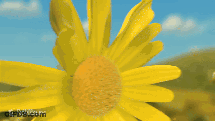 Shrek And Fiona Running Through Yellow Flowers Holding Hands GIF