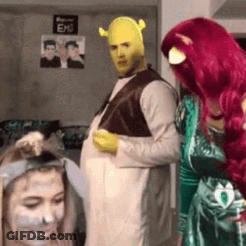 Shrek And Fiona Standing Together In Castle GIF