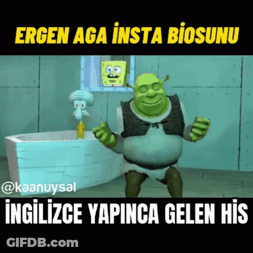 Shrek And Squidward From Spongebob Squarepants Are In A Bathroom GIF
