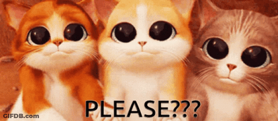 Shrek Cute Cat Please GIF