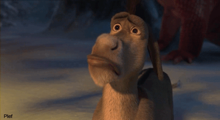 Shrek Donkey Crying GIF