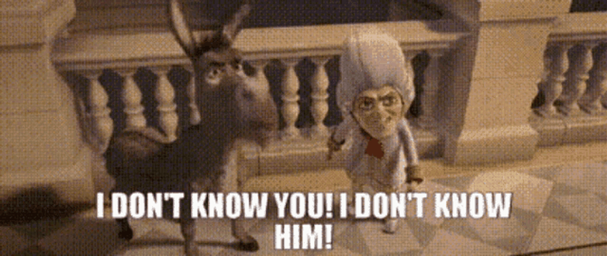 Shrek Donkey I Don’t Know You Quote GIF