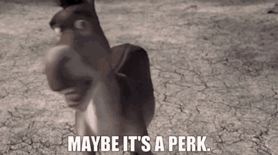 Shrek Donkey Maybe It’s A Perk Meme GIF