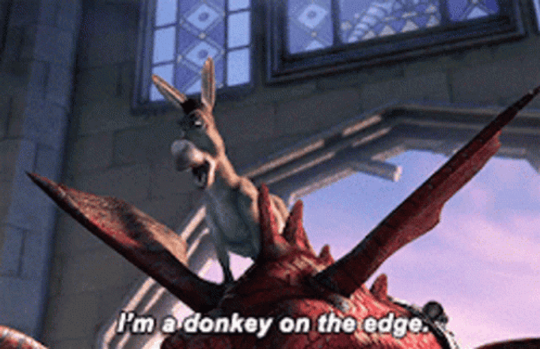 Shrek Donkey On The Edge GIF