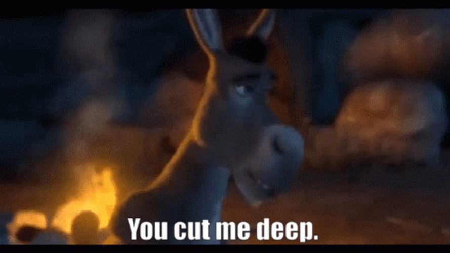 Shrek Donkey Sad Hurt Insult Movie Quote GIF