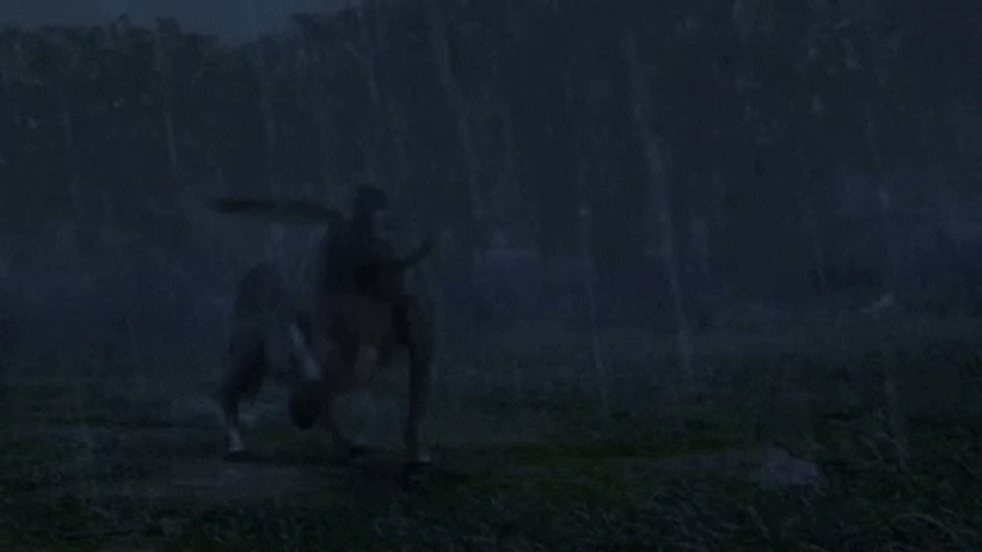 Shrek Donkey Screaming Rain Down GIF