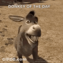 Shrek Donkey Smiling And Tongue Out GIF