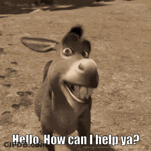 Shrek Donkey Smiling Asking How Can I Help Ya GIF