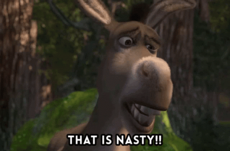 Shrek Donkey That Is Nasty GIF
