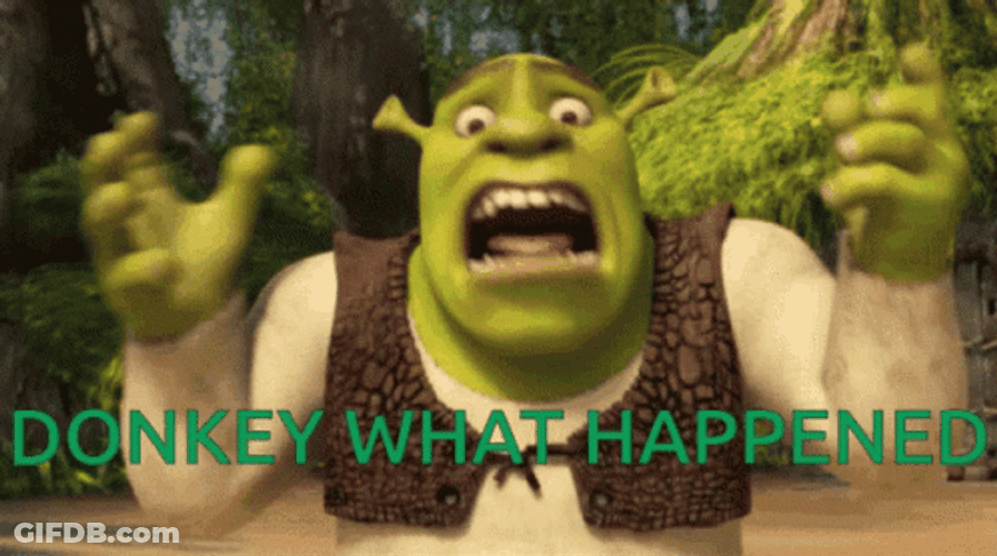 Shrek Donkey What Happened GIF