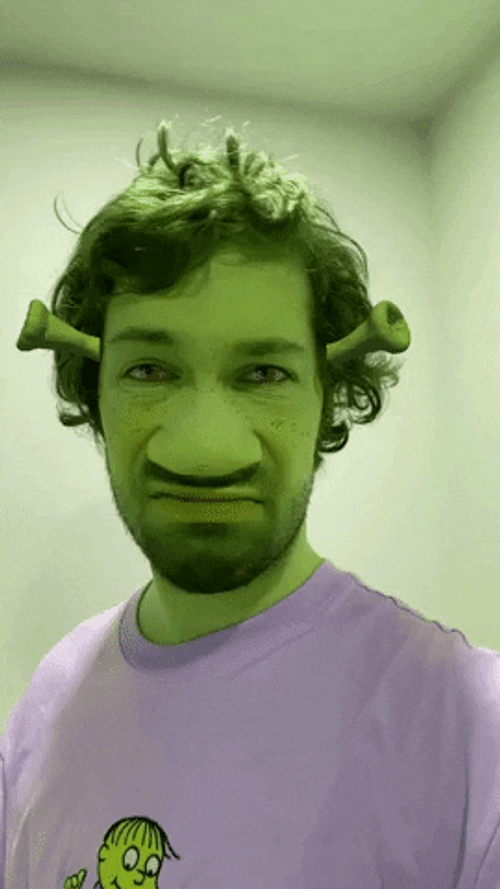 Shrek Filter Hmmmm GIF