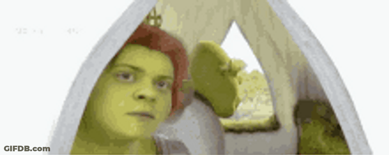 Shrek Fiona Donkey Mmmm Thinking Travel Far Away GIF
