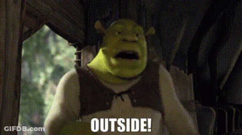 Shrek From Shrek Is Standing In Front Of A Window And Says `` Outside ! '' GIF
