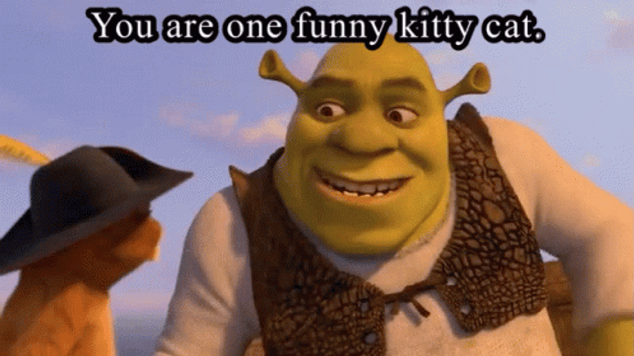 Shrek Funny Kitty Cat GIF