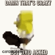 Shrek Holding Gun Saying Damn That's Crazy But Who Asked GIF