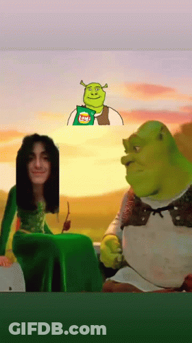 Shrek Holding Lays Chips Next To Woman GIF