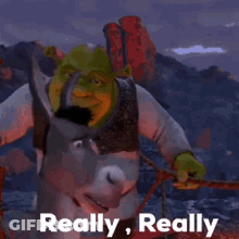 Shrek Holding Sword Saying Really Really On Mountain GIF