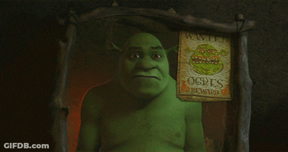 Shrek In Mirror GIF