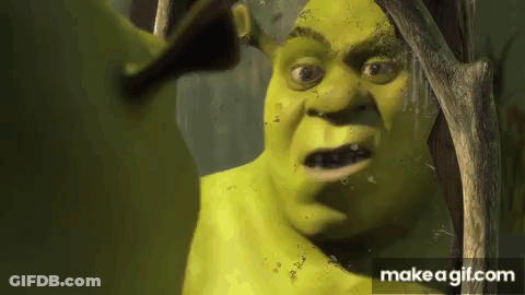 Shrek Is Looking At Himself In The Mirror And Making A Funny Face GIF