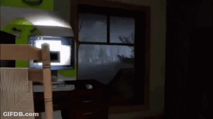 Shrek Is Love Flying Out The Window GIF