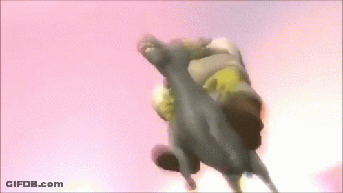 Shrek Is Riding A Donkey In The Air GIF