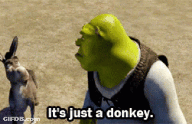 Shrek Its Just A Donkey GIF