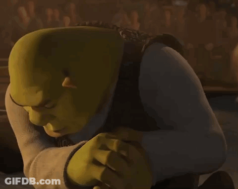 Shrek Kneeling Looking At Camera GIF