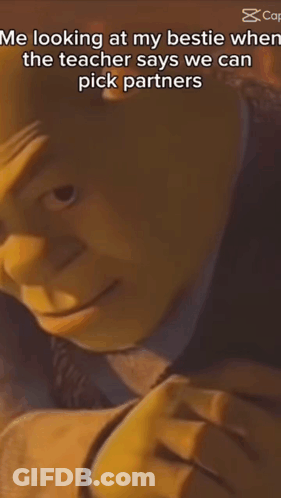 Shrek Looking At Bestie GIF