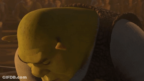 Shrek Looks At Camera GIF