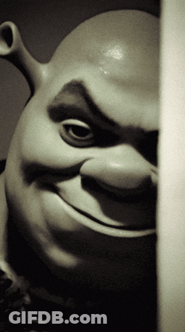 Shrek Lying Down With I Hope He Shows GIF