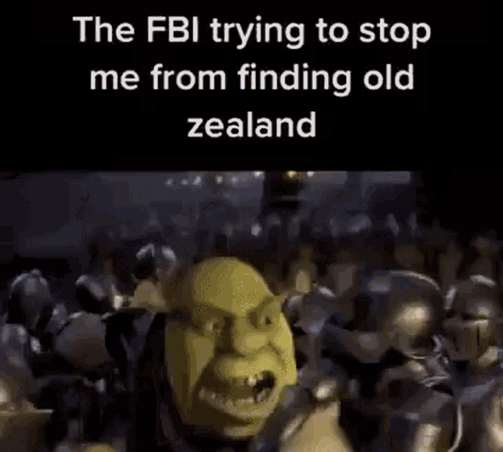Shrek Meme Angry Fighting Soldiers GIF