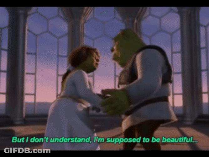 Shrek Meme Confused Princess Fiona Ogre GIF